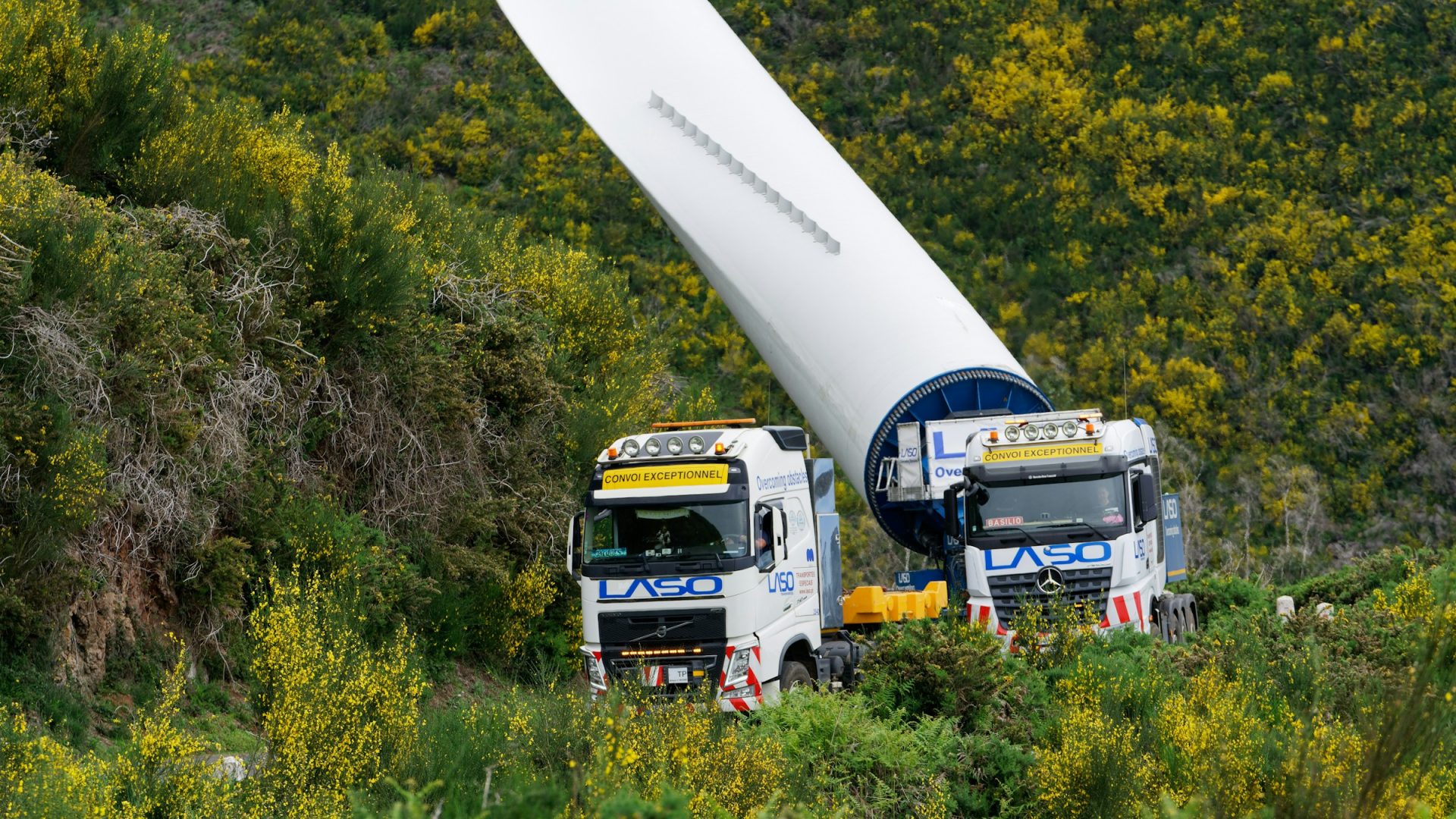 A wind turbine blade on a multi-axle trailer beside a container vessel and port cranes